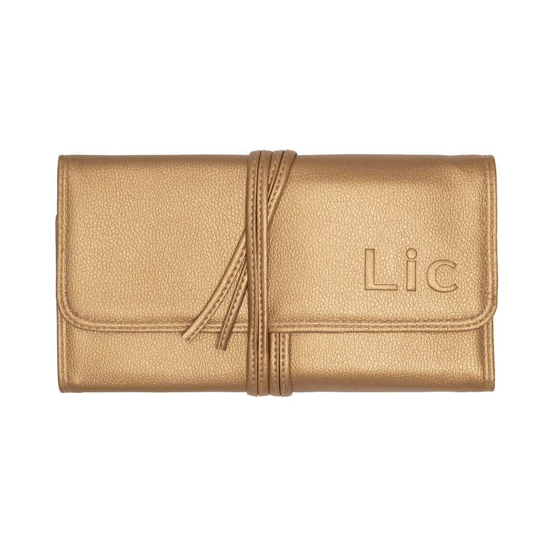 Brush Case